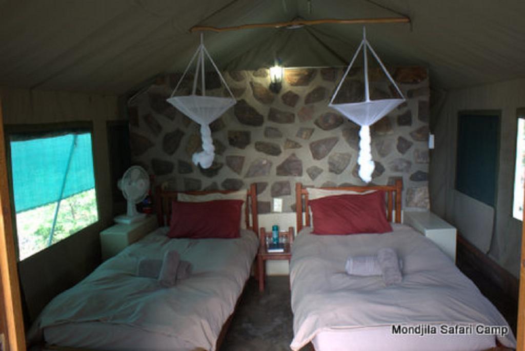 Villa Mondjila Safari Camp à Okaukuejo Extérieur photo
